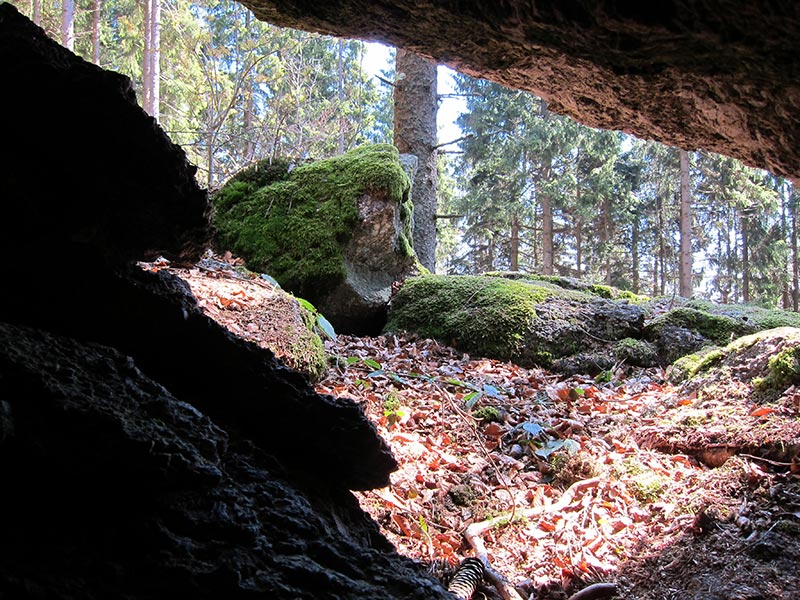 ysperklamm